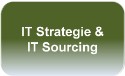 IT Strategie & Sourcing 