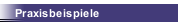 Praxisbeispiele