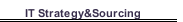 IT Strategy&Sourcing
