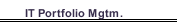 IT Portfolio Mgtm.