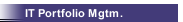 IT Portfolio Mgtm.